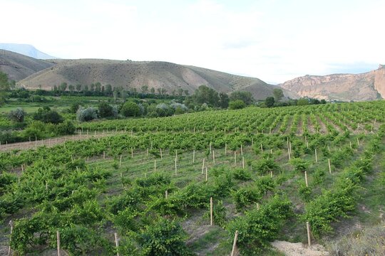 Tour image 7