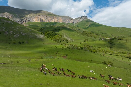 Tour image 5